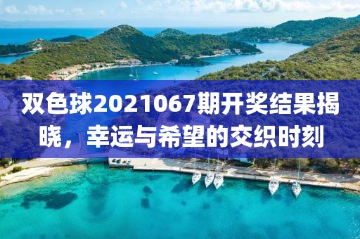 双色球2021067期开奖结果揭晓，幸运与希望的交织时刻