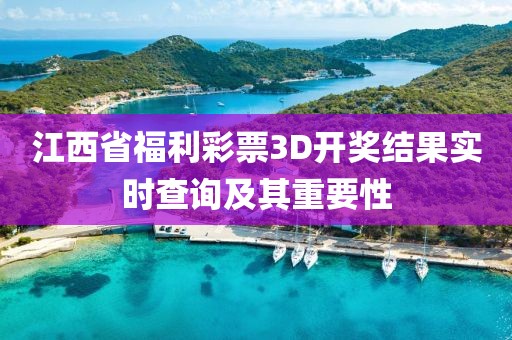 江西省福利彩票3D开奖结果实时查询及其重要性