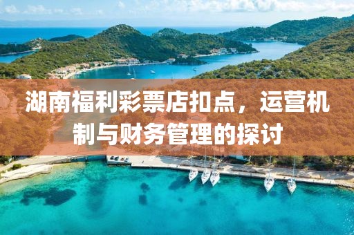 湖南福利彩票店扣点，运营机制与财务管理的探讨