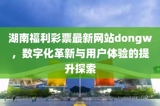 湖南福利彩票最新网站dongw，数字化革新与用户体验的提升探索