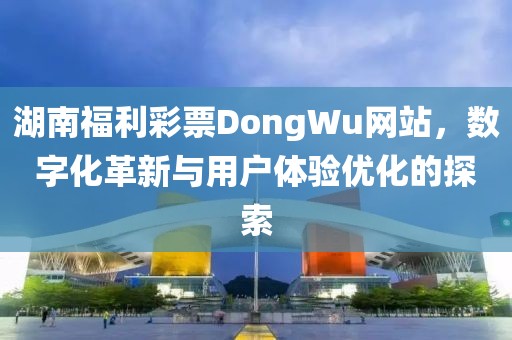 湖南福利彩票DongWu网站，数字化革新与用户体验优化的探索