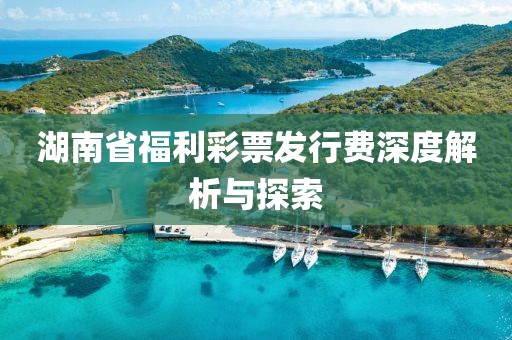 湖南省福利彩票发行费深度解析与探索