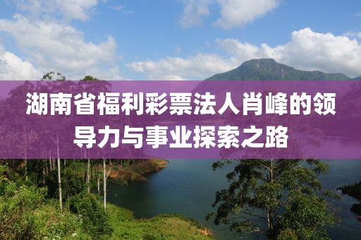 湖南省福利彩票法人肖峰的领导力与事业探索之路