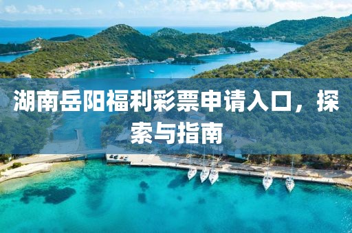 湖南岳阳福利彩票申请入口，探索与指南