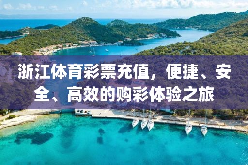 浙江体育彩票充值，便捷、安全、高效的购彩体验之旅