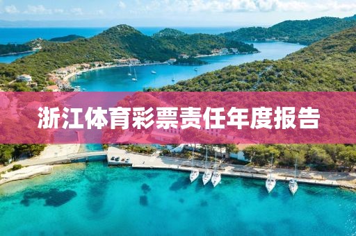 浙江体育彩票责任年度报告