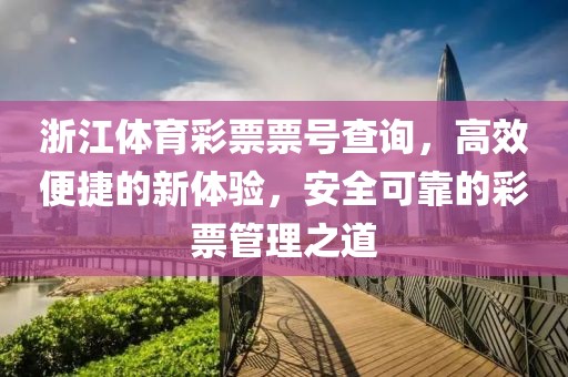 浙江体育彩票票号查询，高效便捷的新体验，安全可靠的彩票管理之道