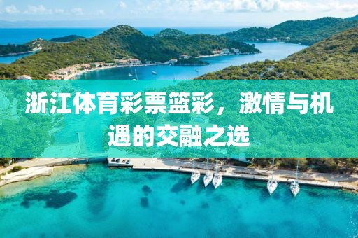 双色球专家预测选号 第5页