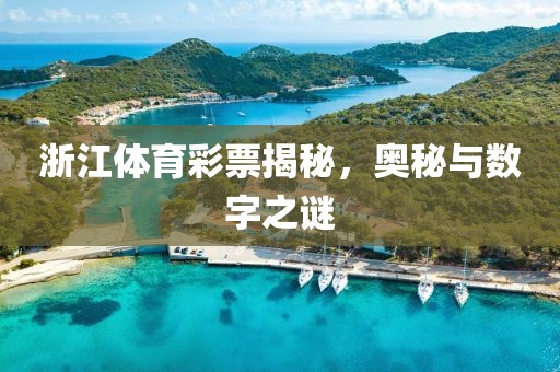 浙江体育彩票揭秘，奥秘与数字之谜