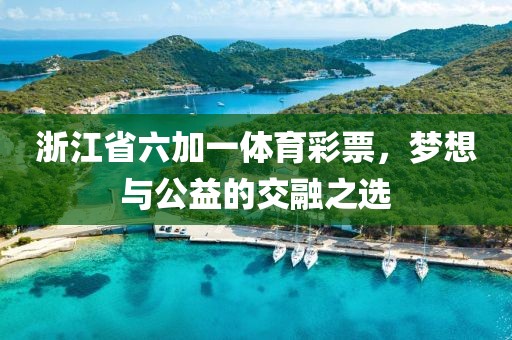 浙江省六加一体育彩票，梦想与公益的交融之选