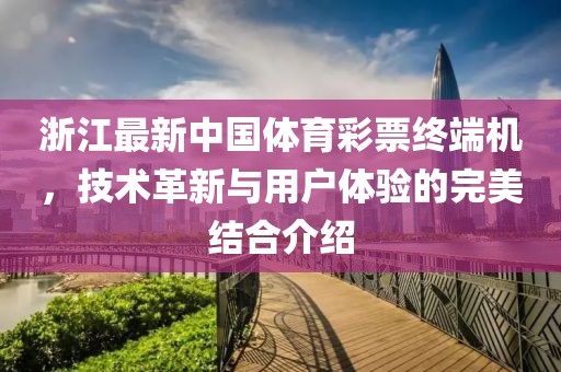 浙江最新中国体育彩票终端机，技术革新与用户体验的完美结合介绍