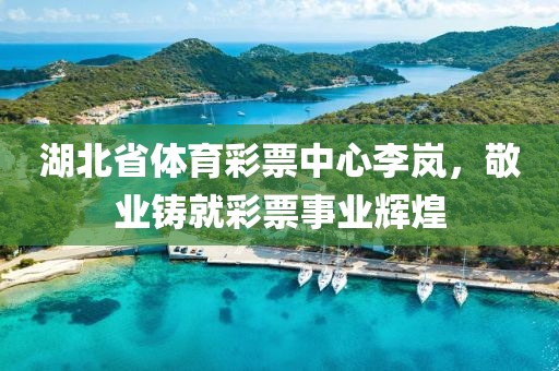 湖北省体育彩票中心李岚，敬业铸就彩票事业辉煌