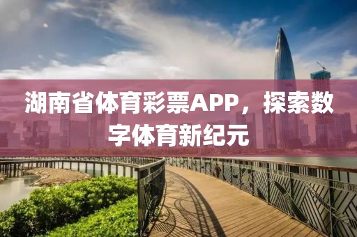 湖南省体育彩票APP，探索数字体育新纪元