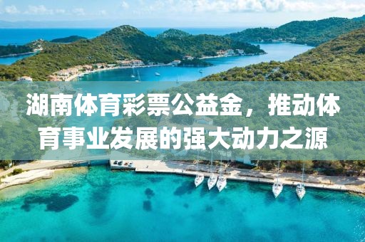 湖南体育彩票公益金，推动体育事业发展的强大动力之源