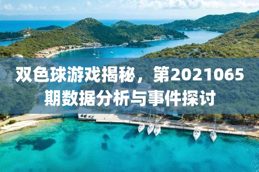 双色球游戏揭秘，第2021065期数据分析与事件探讨