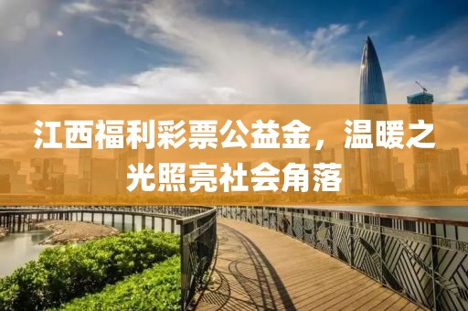 江西福利彩票公益金，温暖之光照亮社会角落