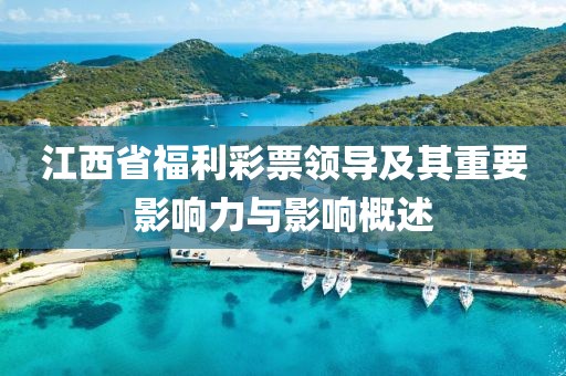 江西省福利彩票领导及其重要影响力与影响概述