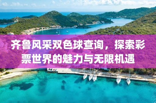 齐鲁风采双色球查询，探索彩票世界的魅力与无限机遇